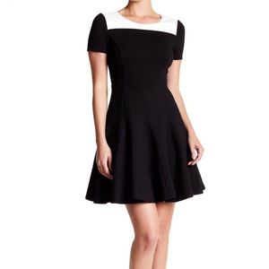Halston Heritage Two Toned Drop Waist Skater dress